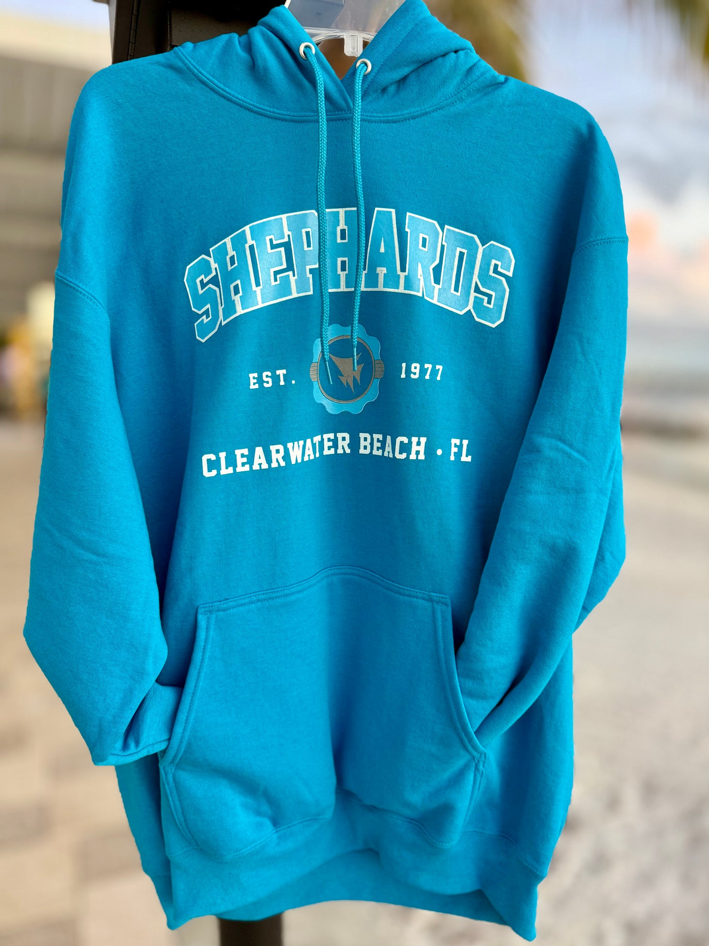 Est. 1977 College Style Logo Hoodie