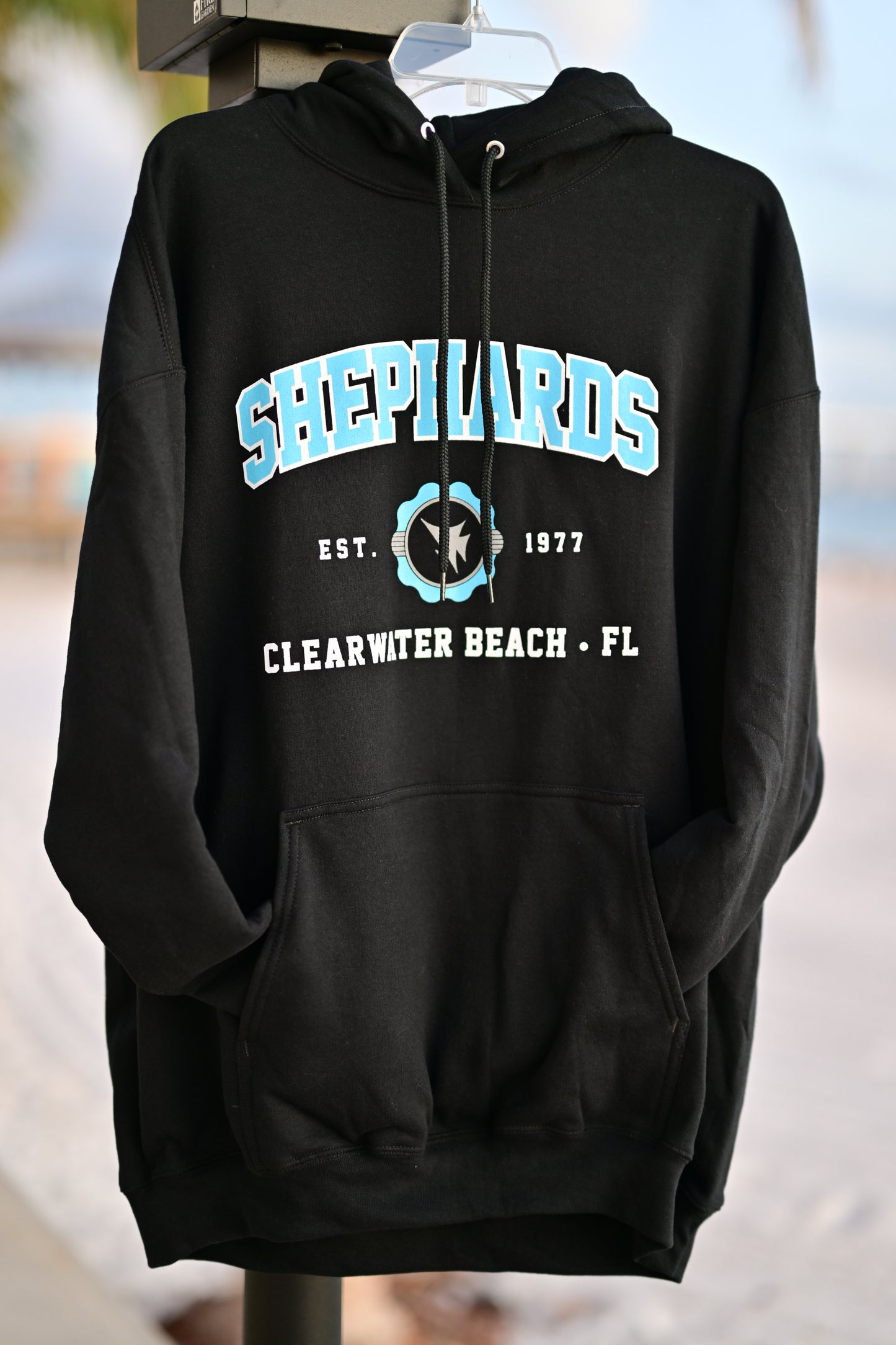 Est. 1977 College Style Logo Hoodie